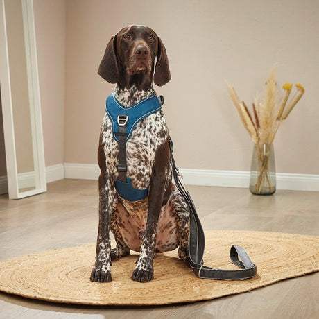 Hundegeschirr Active Pro Comfort