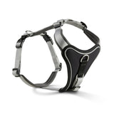 Wolters Hundegeschirr gepolstert Professional Comfort