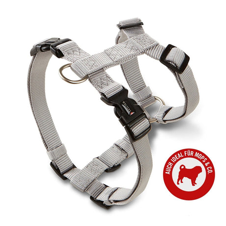 Hundegeschirr Professional für Mops & Co.
