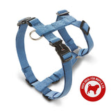 Hundegeschirr Professional für Mops & Co.
