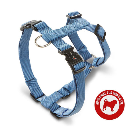 Hundegeschirr Professional für Mops & Co.