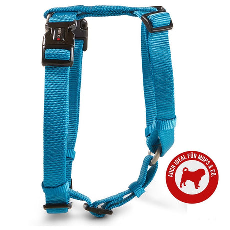 Hundegeschirr Professional für Mops & Co.