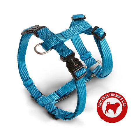 Hundegeschirr Professional für Mops & Co.