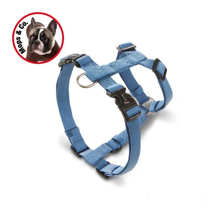 Hundegeschirr Professional für Mops & Co.