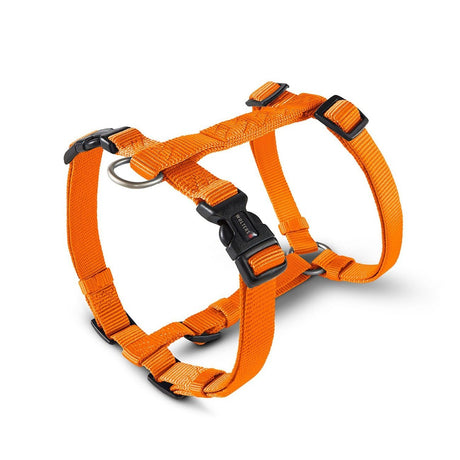 Hundegeschirr Professional Nylon