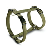 Hundegeschirr Professional Nylon