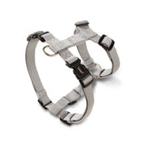 Hundegeschirr Professional Nylon