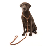 Wolters Moxonleine K2 Tau