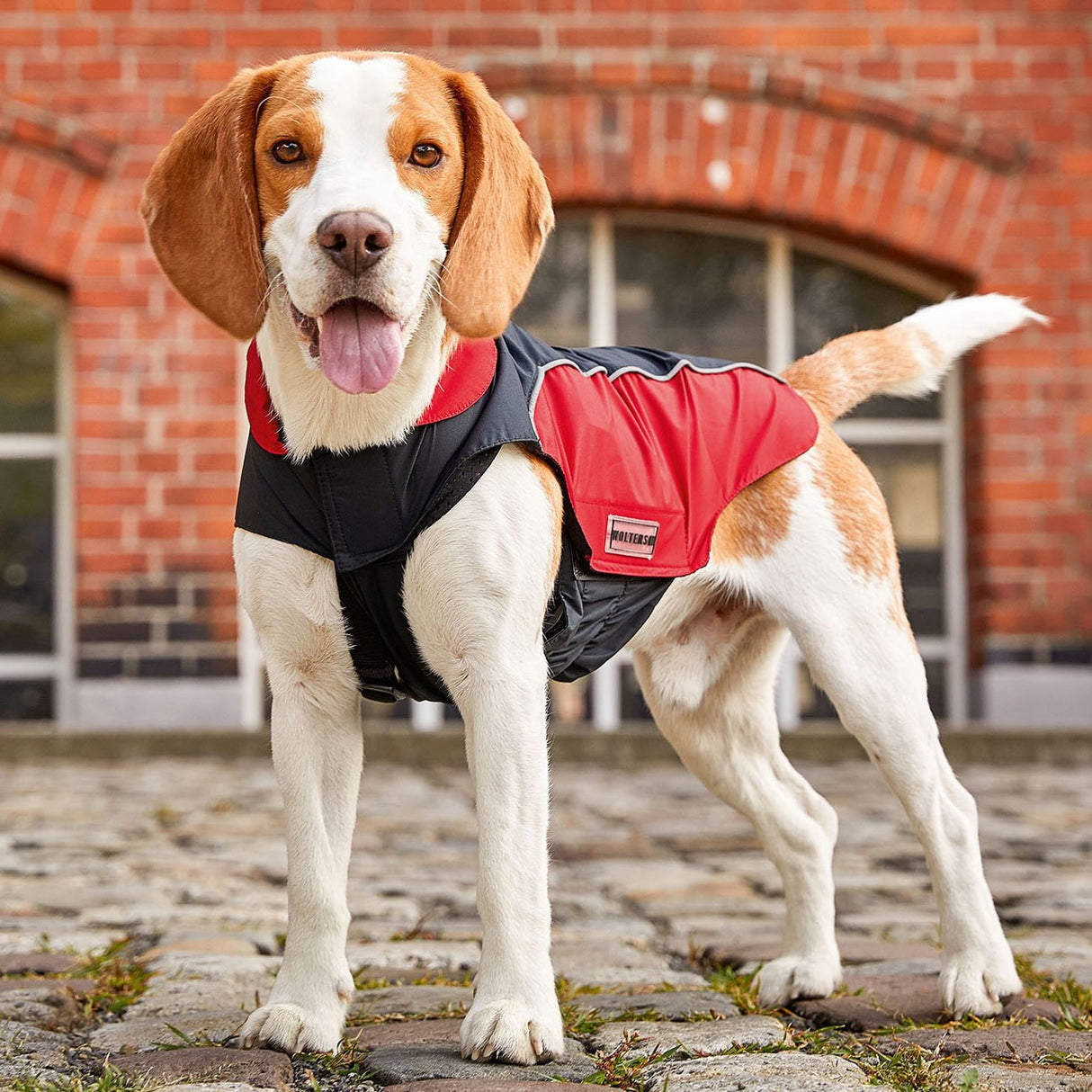 Wolters Regenjacke für Hunde Easy Rain