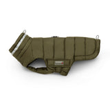Steppjacke Hund Cosy
