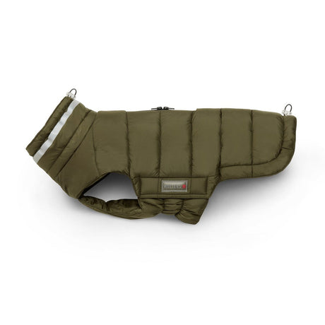 Steppjacke Hund Cosy