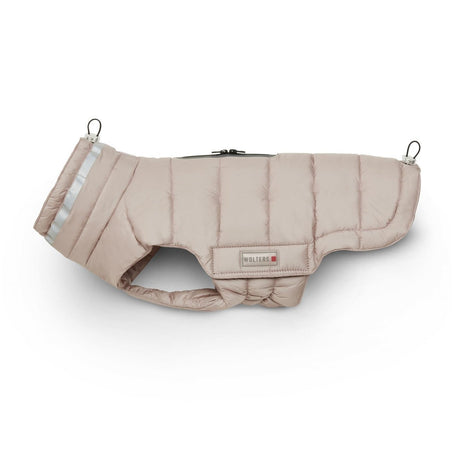 Steppjacke Hund Cosy