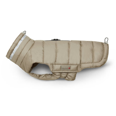 Steppjacke Hund Cosy