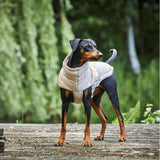 Steppjacke Hund Cosy