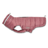Steppjacke Hund Cosy
