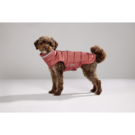 Steppjacke Hund Cosy