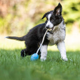 Wolters Straußen-Ei am Seil Hundespielzeug