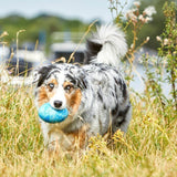 Wolters Straußenei Hundespielzeug