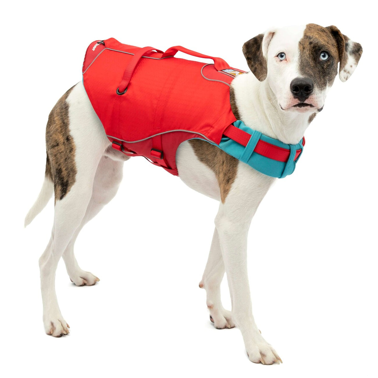 Surf N Turf Schwimmweste für Hunde