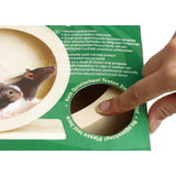 Wonderland Bogie Wheel Hamster Laufrad aus Holz