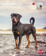 2027 Kalender Rottweiler