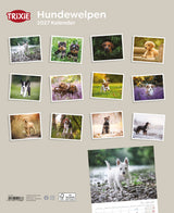 2027 Kalender Hundewelpen