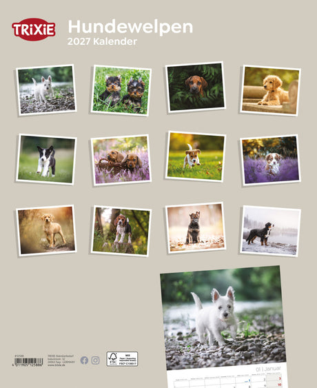 2027 Kalender Hundewelpen