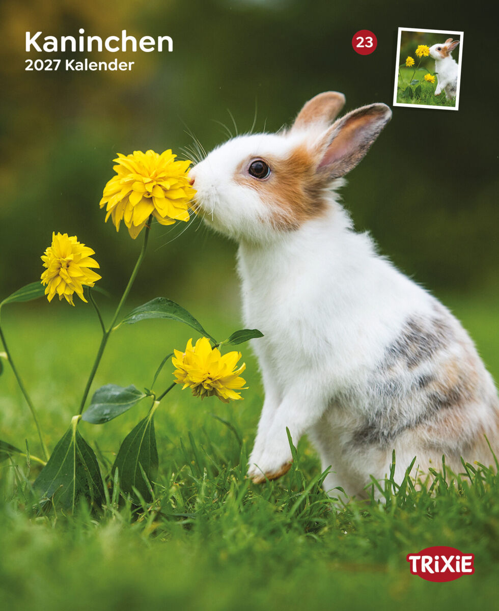 2027 Kalender für Kaninchen