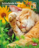 2027 Kalender schlafende Katzen