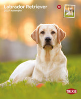 2027 Hundekalender Labrador Retriever