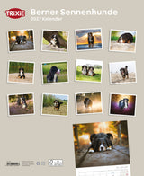 2027 Kalender Berner Sennenhund