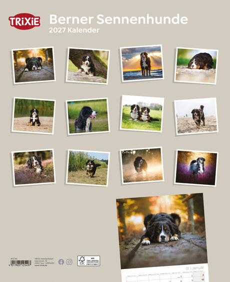 2027 Kalender Berner Sennenhund
