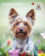 2027 Kalender Yorkshire Terrier