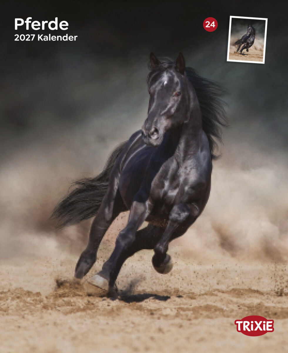 2027 Kalender Pferde