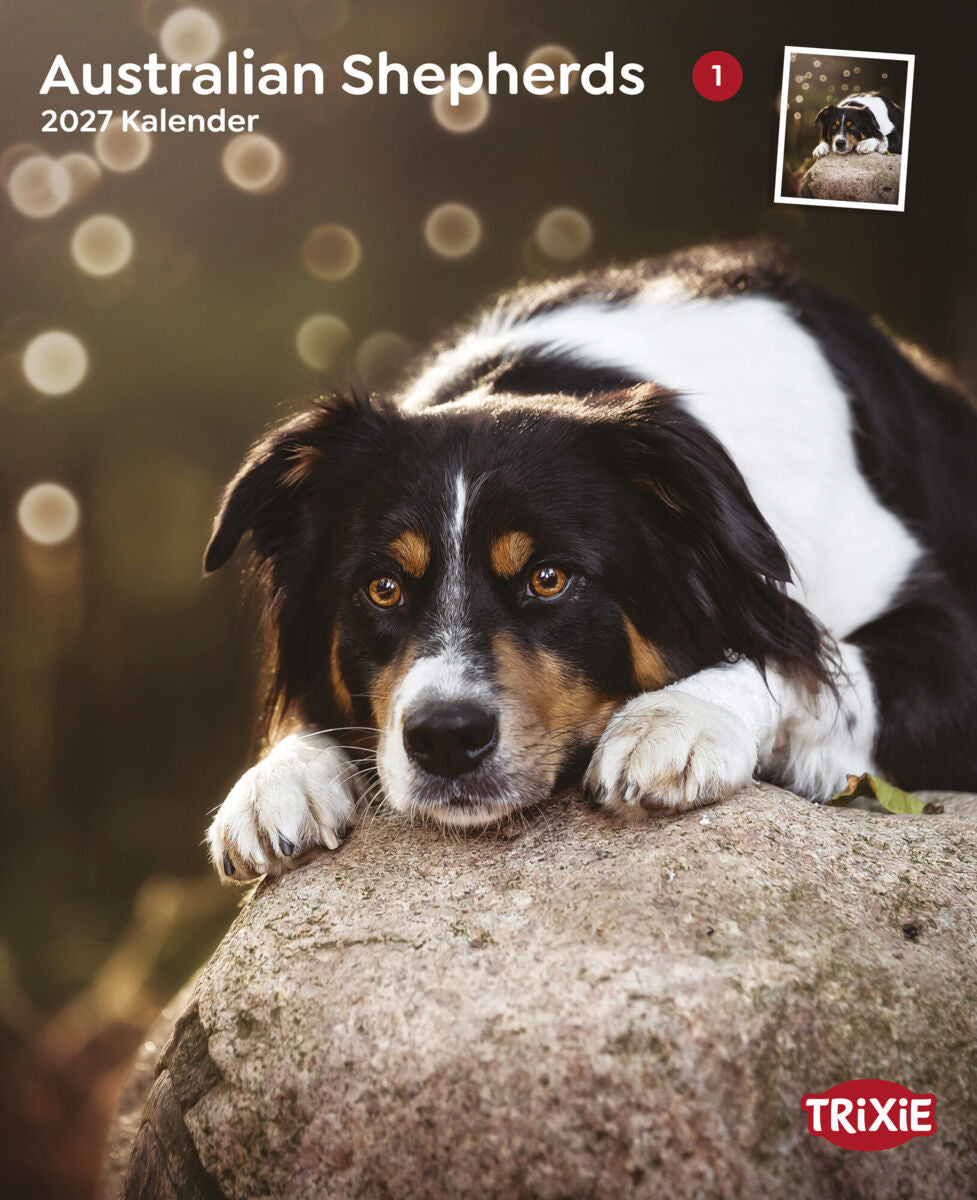 2027 Kalender Australian Shepherd