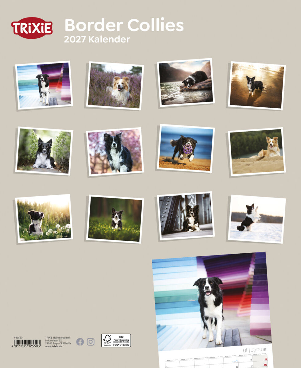 2027 Kalender Border Collies
