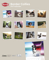 2027 Kalender Border Collies