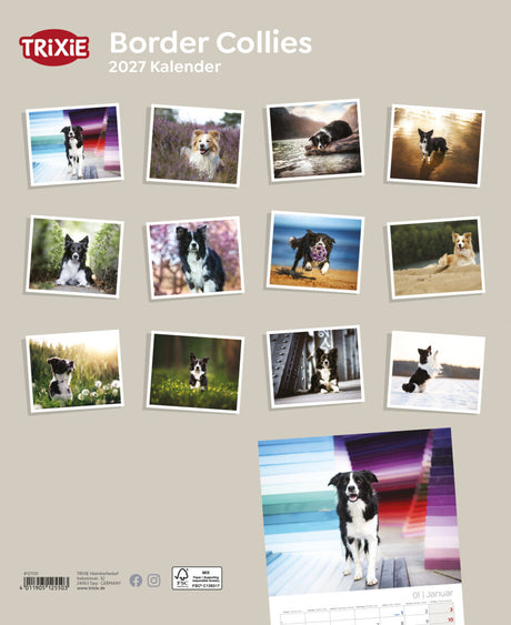 2027 Kalender Border Collies