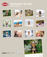 2027 Kalender Yorkshire Terrier