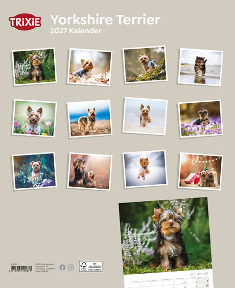2027 Kalender Yorkshire Terrier