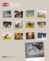 2027 Kalender Pferde