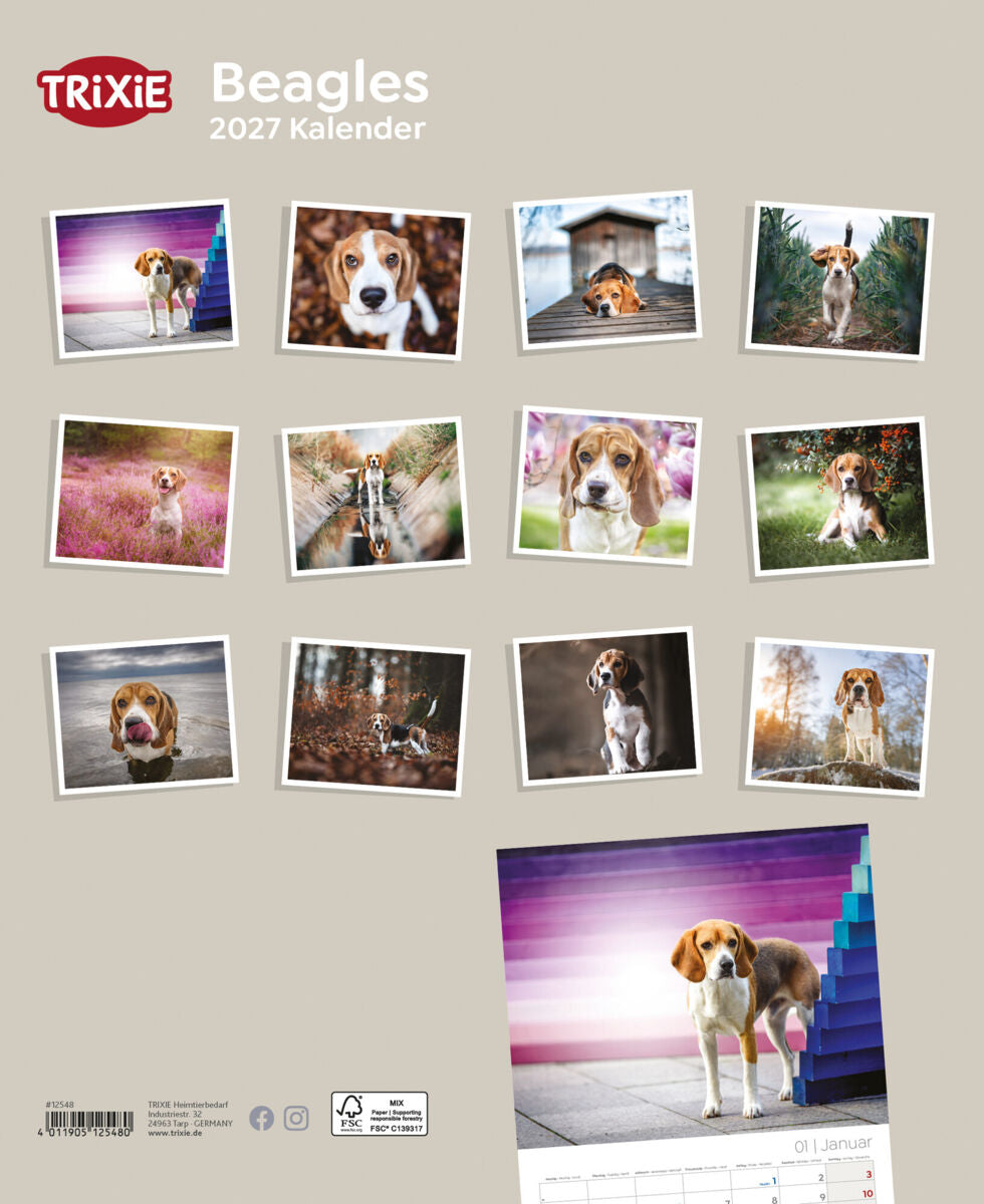 2027 Hundekalender Beagle