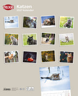 2027 Kalender Katzen