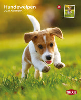 2027 Kalender Hundewelpen