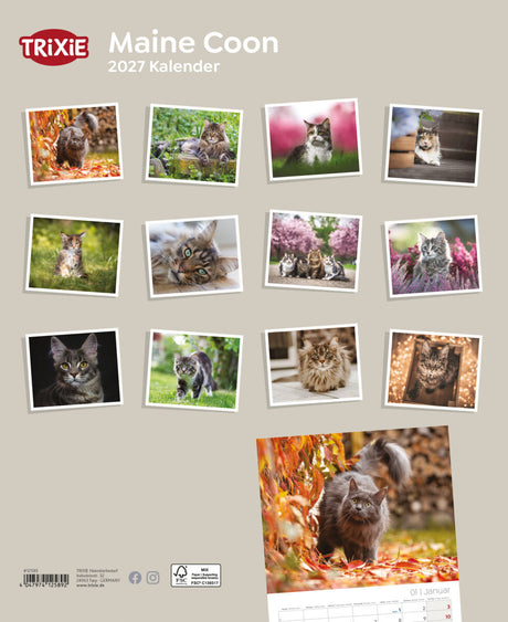 2027 Kalender Maine Coon Katzen