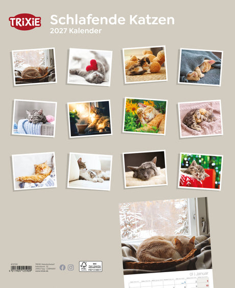 2027 Kalender schlafende Katzen