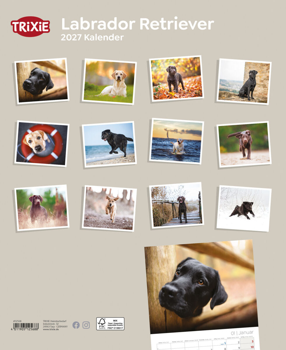 2027 Hundekalender Labrador Retriever
