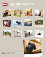 2027 Hundekalender Labrador Retriever