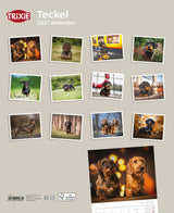 2027 Kalender Teckel Dackel