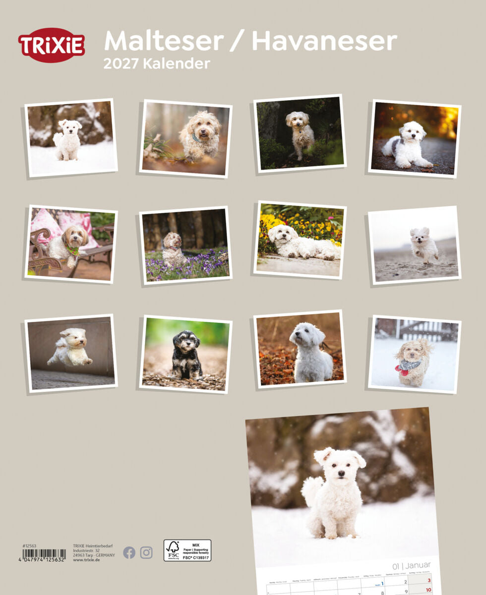2027 Kalender Malteser/Havaneser